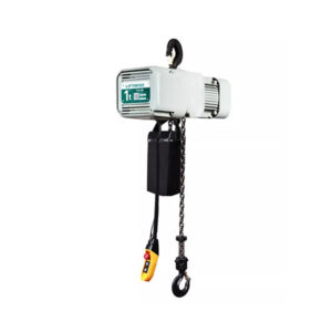 chain hoist with hook