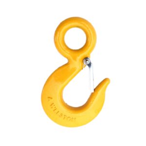 Eye Hoist Hook With Latch 320C